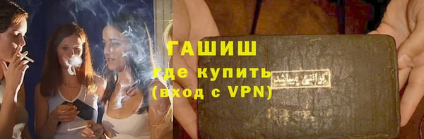 дживик Туринск