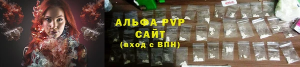 дживик Туринск