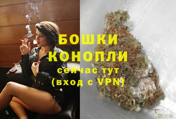ECSTASY Дмитриев