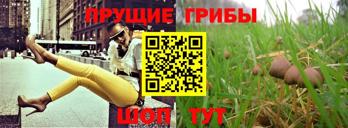 Вичуга  купить наркотик  Вход с VPN  Псилоцибиновые грибы Magic Shrooms 