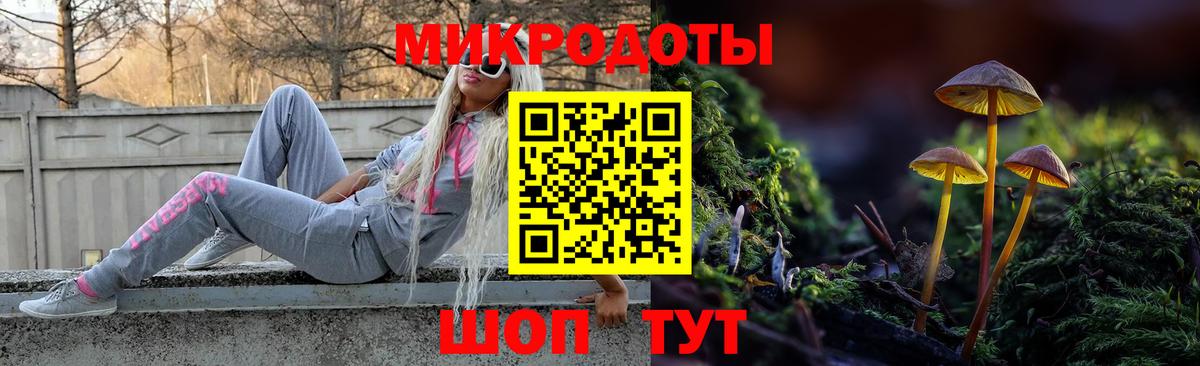 Галлюциногенные грибы мухоморы  Вичуга 